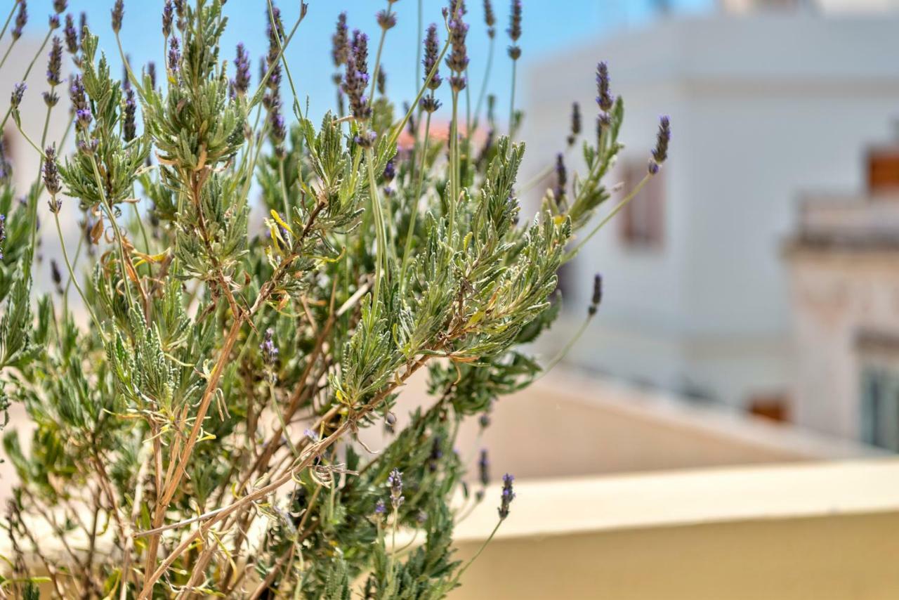 Apartment Island Of Luxury Ermoupoli